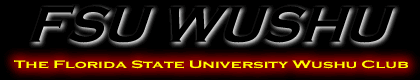 FSU Wushu Title